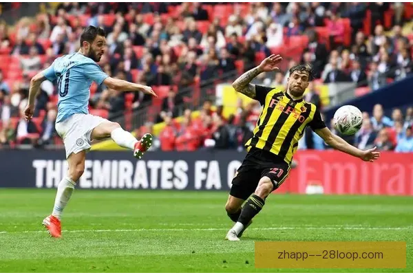 介绍28圈中国官网